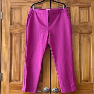 Rachel Zoe Fuchsia Trousers